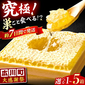 【ふるさと納税】【選べる容量】はちみつ 国産 巣みつ 300g-1.5kg 蜂蜜 ハチミツ スピード発送 贈答 ギフト 広川町 / 株式会社九州蜂の子本舗[AFAI004]