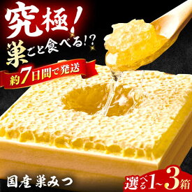 【ふるさと納税】【年内発送！12/22まで！】【選べる容量】国産巣みつ 300g-900g はちみつ 蜂蜜 ハチミツ スピード発送 広川町 / 株式会社九州蜂の子本舗[AFAI004]