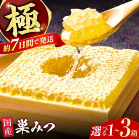 【ふるさと納税】【選べる容量】極巣みつ 310g～930g はちみつ 蜂蜜 ハチミツ ハニー スピード発送 広川町 / 株式会社九州蜂の子本舗[AFAI007]