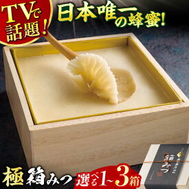 【ふるさと納税】【選べる箱数】【先行受付 令和7年12月より発送】極箱みつ 1箱〜3箱 蜂蜜 はちみつ ハチミツ 広川町 / 株式会社九州蜂の子本舗[AFAI010]
