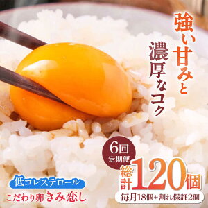 �y�ӂ邳�Ɣ[�Łz�y6�����ցz���ݗ��� ������ 20�i18��+����ۏ�2�j×6���� ���v120�@�L�쒬/�ɓ��{�{��[AFAJ006]