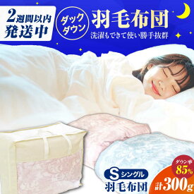 【ふるさと納税】【色を選べる】工場直送 国産羽毛肌掛けふとん「筑後七国」ダックダウン 85%使用 布団 羽毛布団 ダウン かけ布団 広川町 / ヒラモリ株式会社[AFAO007]