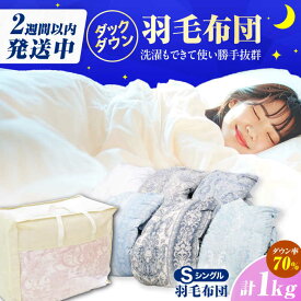 【ふるさと納税】【工場直送】国産「筑後七国」ダックダウン70% 1.0kg使用 羽毛掛けふとん 色柄お任せ　広川町 / ヒラモリ株式会社[AFAO021]