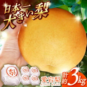 yӂ邳Ɣ[Łzy12{Jnz  3kg (3ʁ`5) t[c ʕ L쒬 / TʎYij[AFAR025]