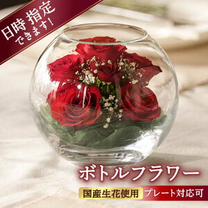 yӂ邳Ɣ[Łzyv[gΉz{gt[ AS-D  ͂ hCt[ vU[uht[ t[AWg v[g ̓ L쒬 / Ѓft[[AFAW011]