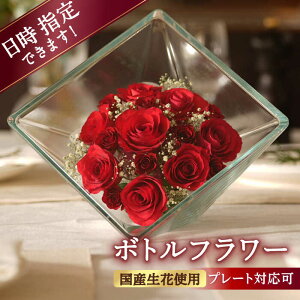 yӂ邳Ɣ[Łzyv[gΉz{gt[ XB-C  ͂ ni t[ hCt[ Mtg v[g t[AWg L쒬 / Ѓft[[AFAW015]