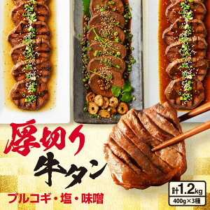 yӂ邳Ɣ[Łz؂苍^3ZbgivRME_EX_j v1.2kg L쒬 / POWER EAST CONNECTION[AFAZ033]