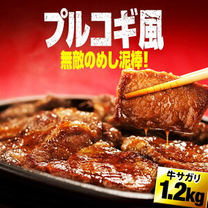 �y�ӂ邳�Ɣ[�Łz���T�K���v���R�M1.2kg �L�쒬 / �������POWER EAST CONNECTION[AFAZ044]