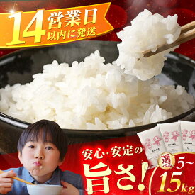 【ふるさと納税】【選べる数量】広川の輝き お米 5kg （5kg×1袋）/10kg（5kg×2袋）/15kg（5kg×3袋）　広川町 / 株式会社カネガエ[AFBD008]