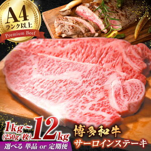 yӂ邳Ɣ[ŁzyIׂցza T[C 1kgi250g×4j   L쒬 / MEAT PLUS[AFBO009]