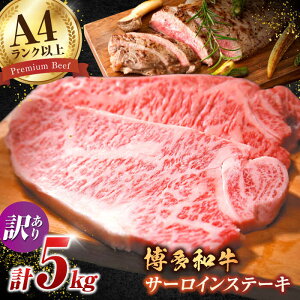 yӂ邳Ɣ[Łzy󂠂za T[C Xe[L Zbg 5kgi250g×20jL쒬 / MEAT PLUS[AFBO013]