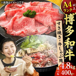 yӂ邳Ɣ[ŁzyIׂցza Ԃ Ăp    L쒬 / MEAT PLUS[AFBO018]