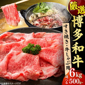 yӂ邳Ɣ[ŁzyIׂցza Ԃ Ăp  L쒬 / MEAT PLUS[AFBO022]