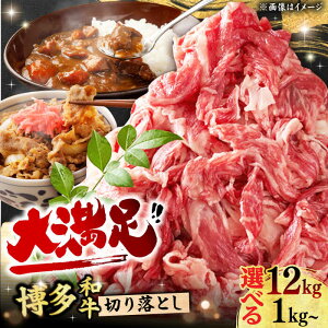 yӂ邳Ɣ[ŁzyIׂցza  ؂藎Ƃ   ɂ  a Y L쒬 / MEAT PLUS[AFBO077]