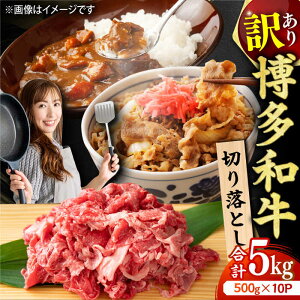 yӂ邳Ɣ[Łzy󂠂za ؂藎Ƃ 5kgi500g×10pj A  L쒬 / MEAT PLUS[AFBO081]