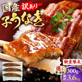 【ふるさと納税】【選べる定期便】【訳あり】国産鰻（100g×3尾）うなぎ ウナギ 国産 蒲焼 かば焼き 広川町 / 株式会社イールファクトリー[AFBS009]