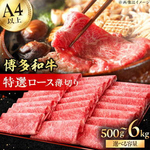 yӂ邳Ɣ[ŁzyazA4`A5 I[X ؂500g L쒬 / vcX[AFBV056]