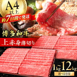 yӂ邳Ɣ[ŁzyazA4`A5 Ԑg؂ 1kg L쒬 / vcX[AFBV062]