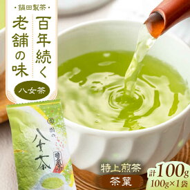 【ふるさと納税】八女茶 茶葉 100g やめちゃ お茶 緑茶 おちゃ 茶葉 生産直売 福岡 スピード発送 広川町 / 鍋田製茶工場[AFBW001]