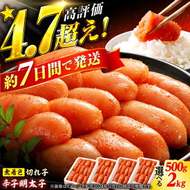 【ふるさと納税】【選べる容量】★楽天限定★ 博多の味本舗 辛子明太子 500g〜2kg【無着色・二段仕込】 明太子 めんたいこ メンタイコ 福岡 魚卵 切れ子 冷凍 人気 辛子明太子 スピード発送 7千円 7000円 7,000円 広川町 / 株式会社博多の味本舗[AFBY002]