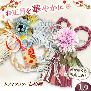 yӂ邳Ɣ[Łzys\ 11-12zߓ ߂Ȃ Vi  ͂ ni hCt[ t[AWg L쒬 / flowerfield[AFBZ001]