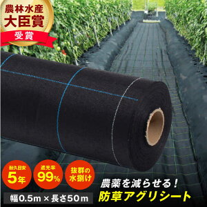 yӂ邳Ɣ[ŁzhAOV[giBB1515Eϋvڈ5NE0.5m×50mj | _  G  L쒬 / {ChNX[AFCA005]