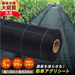 yӂ邳Ɣ[ŁzhAOV[giBB1515Eϋvڈ5NE1.0m×30mj |   悯 悯 _ V[g L쒬 / {ChNX[AFCA007]