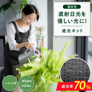 yӂ邳Ɣ[Łz|p ՌlbgiBK1210EngtE3.6m×5.4mj L쒬 / {ChNX[AFCA026]