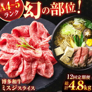 yӂ邳Ɣ[Łzy12ցzA4`A5N a~XWXCX 400g v4.8kg   a Y јa  ~XW 400g A4N A5N  L쒬 / ЖؑH