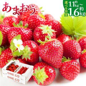 yӂ邳Ɣ[Łzyʌz ܂ qIׂr4pbN or 6pbN 1120g or 1680g 1pbN280g   C`S Xgx[ ʕ t[c  fU[g ① Y Y 