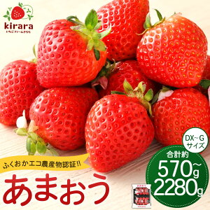 yӂ邳Ɣ[Łz܂ t@[yӂGR_YF؁zqIׂr570g / 1140g / 1710g / 2280g 1pbN285g  C`S  t[c ʕ  ① vĎY