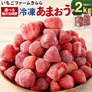yӂ邳Ɣ[ŁzqIׂցryu2`6ցzt@[磂̗Ⓚ܂v4`12kg 2kg×1 u2`6 4kg 6kg 12kg   t[c Ⓚ ܂ 