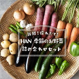 yӂ邳Ɣ[ŁzG߂̂؋lߍ킹Zbg   VN _sgp VN ̂ꂽ HAN yVX[p[SALE 9J