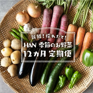 yӂ邳Ɣ[Łz G߂̂ 12   Zbg lߍ킹 _sgp VN ̂ꂽ ₳ HAN 