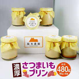 【ふるさと納税】濃厚 さつまいもプリン 6個入り プリン 洋菓子 さつまいも サツマイモ さつま芋 紅はるか 濃厚プリン 芋スイーツ スイーツ デザート おやつ 手土産 お取り寄せスイーツ 福岡県 香春町 送料無料