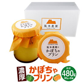 【ふるさと納税】濃厚 かぼちゃプリン 6個入り プリン 洋菓子 かぼちゃ カボチャ パンプキン パンプキンプリン 濃厚プリン 北の紅 スイーツ デザート おやつ 手土産 お取り寄せスイーツ 福岡県 香春町 送料無料