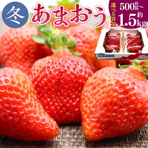 yӂ邳Ɣ[Łz܂(~) qIׂr500g`1.5kg 2pbN`6pbN 1pbN250g-270g ܂   Xgx[ ʕ t[c Y    y2025N12{