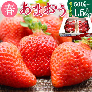 yӂ邳Ɣ[Łz܂(t)qIׂr500g`1.5kg 2pbN`6pbN 1pbN250g-270g ܂   Xgx[ ʕ t[c Y    y2026N2{-4