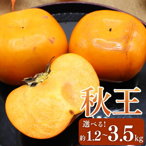 yӂ邳Ɣ[ŁzIׂeʁuh` uHv 3.5kgi6`14jE1.75kgi6jE1.2kgi3LTCY4ʓj  JL `  ʕ ʎ t[c ① Y 