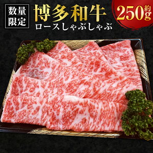 yӂ邳Ɣ[Łzyʌ蔎az[X Ԃ 250g јa u[X T[C     ~ Ⓚ Y Y B  t 
