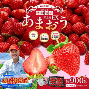 yӂ邳Ɣ[ŁzMtgz 450g×2pbN 900g EX Y ܂ ʍ͔|   Xgx[ ʕ t[c  Y Mtg y2026N1{-3{\z