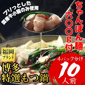 【ふるさと納税】10人前!博多特選もつ鍋(プリプリの国産牛小腸のみ使用)(4パック小分けが便利)[a0802][炭焼豚丼と塩ホルモンの店 西北の杜]【返礼品】添田町 ふるさと納税
