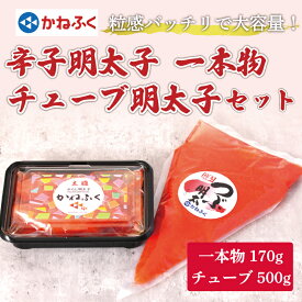 【ふるさと納税】かねふく〈無着色〉辛子明太子170g(一本物)とチューブ明太子500gセット [a7096] 藤井乾物店 ※配送不可：離島【返礼品】添田町 ふるさと納税