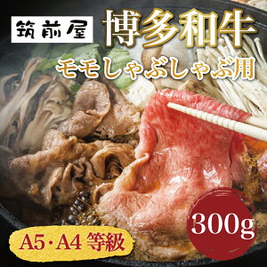 yӂ邳Ɣ[ŁzA5 A4 gp a  Ԃԗp 300g [a9191] Ѓ`N[ zsFyԗizYc ӂ邳Ɣ[