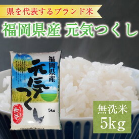 【ふるさと納税】令和6年産 福岡県産元気つくし無洗米5kg(5kg×1) [a7196] 株式会社 藤食糧 【返礼品】添田町 ふるさと納税