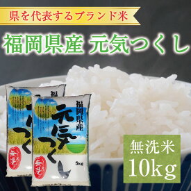 【ふるさと納税】令和6年産 福岡県産元気つくし無洗米10kg(5kg×2) [a7197] 株式会社 藤食糧 【返礼品】添田町 ふるさと納税