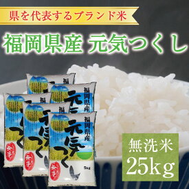 【ふるさと納税】令和6年産 福岡県産元気つくし無洗米25kg(5kg×5) [a7198] 株式会社 藤食糧 【返礼品】添田町 ふるさと納税