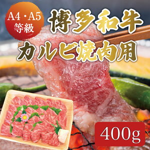 yӂ邳Ɣ[Łza A5`A4 Jr 400g ēt ϔ [a9230] Ѓ} zsFyԗizYc ӂ邳Ɣ[
