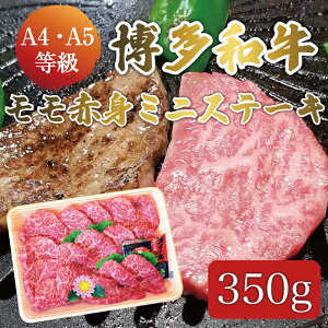 yӂ邳Ɣ[Łza A5`A4  Ԑg ~j Xe[L 350g \[XEӞt ϔ [a9232] Ѓ} zsFyԗizYc ӂ邳Ɣ[