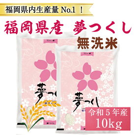 【ふるさと納税】令和5年産 福岡県産 ブランド米「夢つくし」無洗米 計10kg [a0247] 株式会社 ゼロプラス 【返礼品】添田町 ふるさと納税